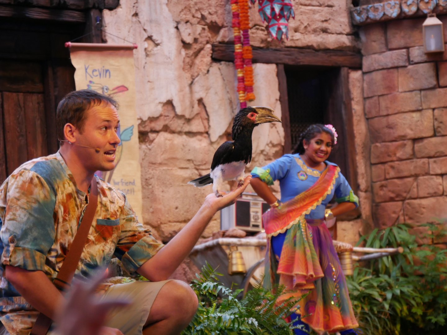 Hornbill ID? (Flight Show 2018)