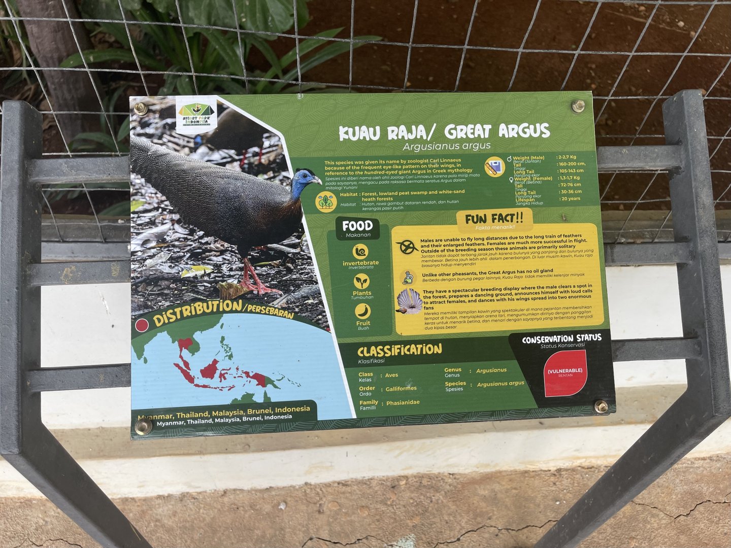 hornbill kingdom - great argus signage - aviary park