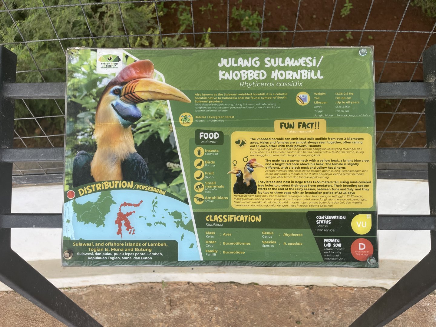 hornbill kingdom - knobbed hornbill signage - aviary park