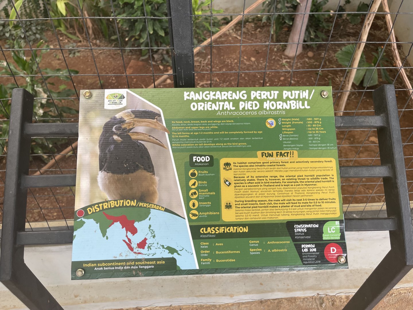 hornbill kingdom - oriental pied hornbill signage - aviary park