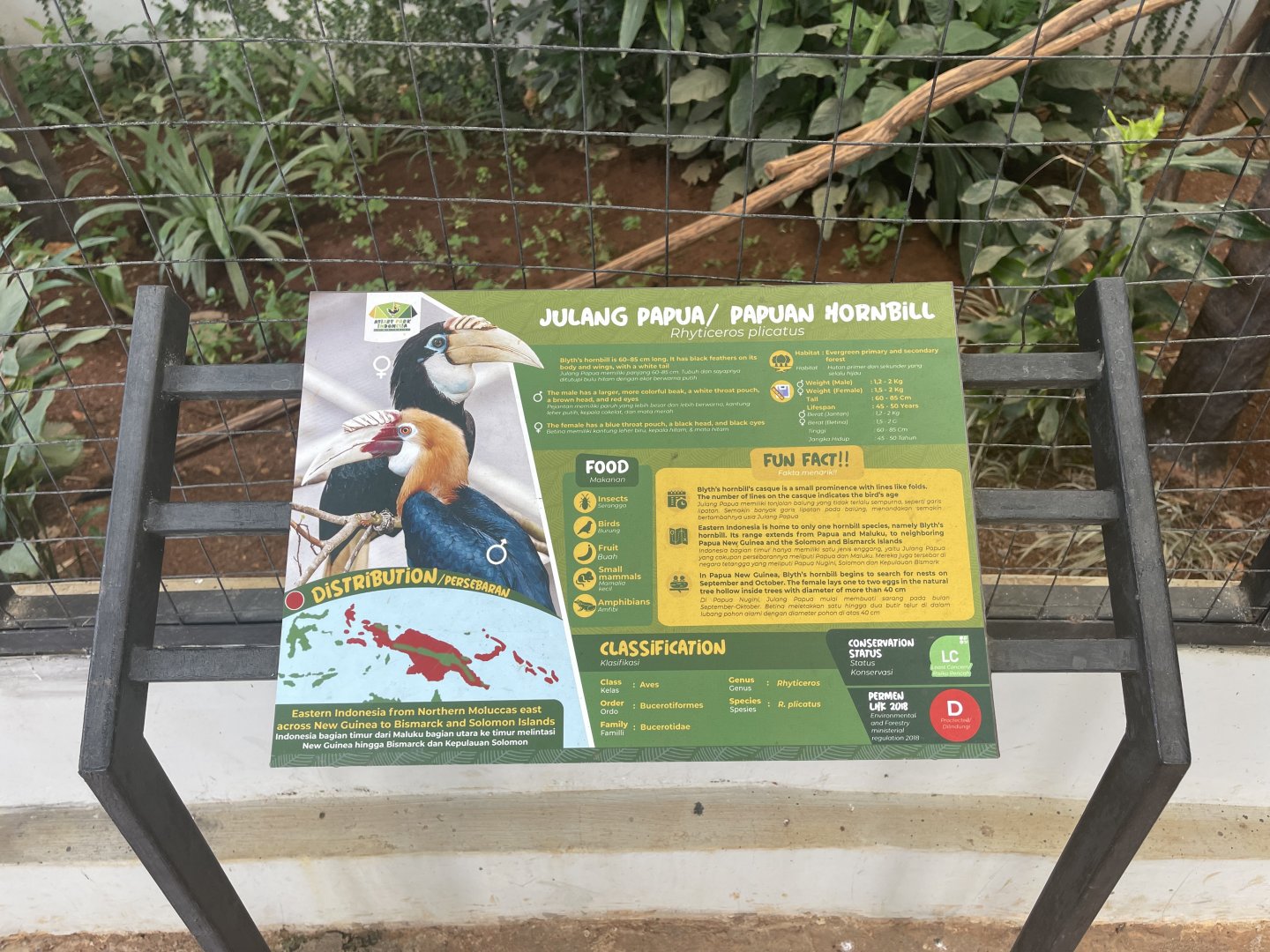 hornbill kingdom - papuan hornbill signage - aviary park