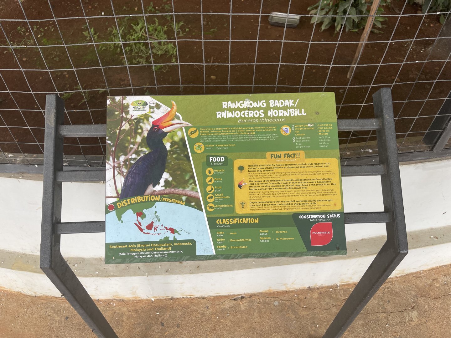 hornbill kingdom - rhinoceros hornbill signage - aviary park