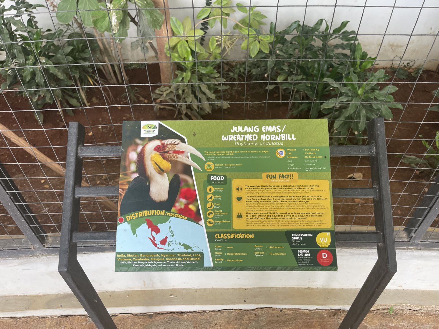 hornbill kingdom - wreathed hornbill signage - aviary park