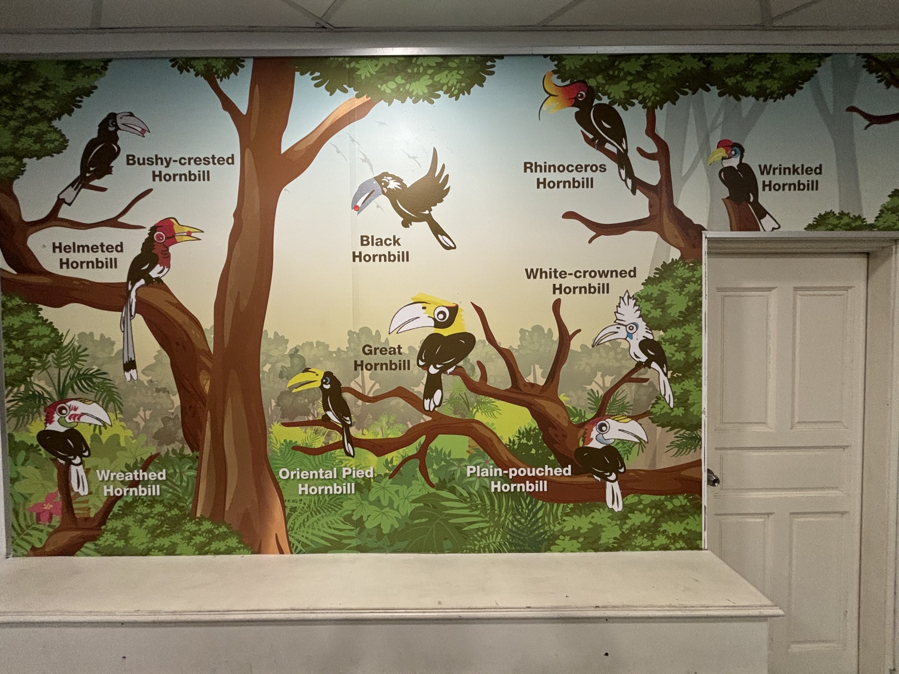 Hornbill Mural