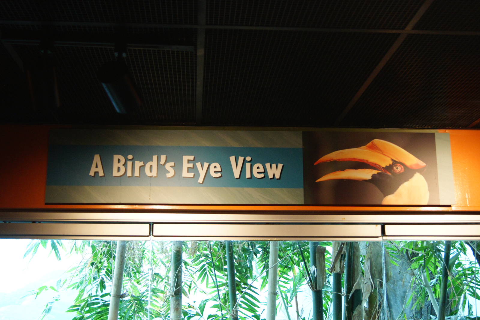 Hornbill Sign