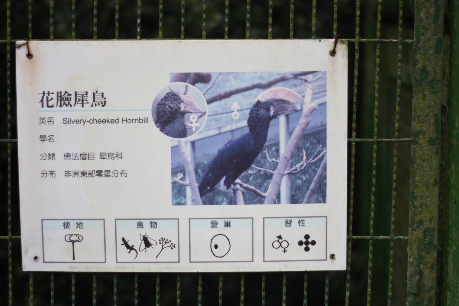 Hornbill sign
