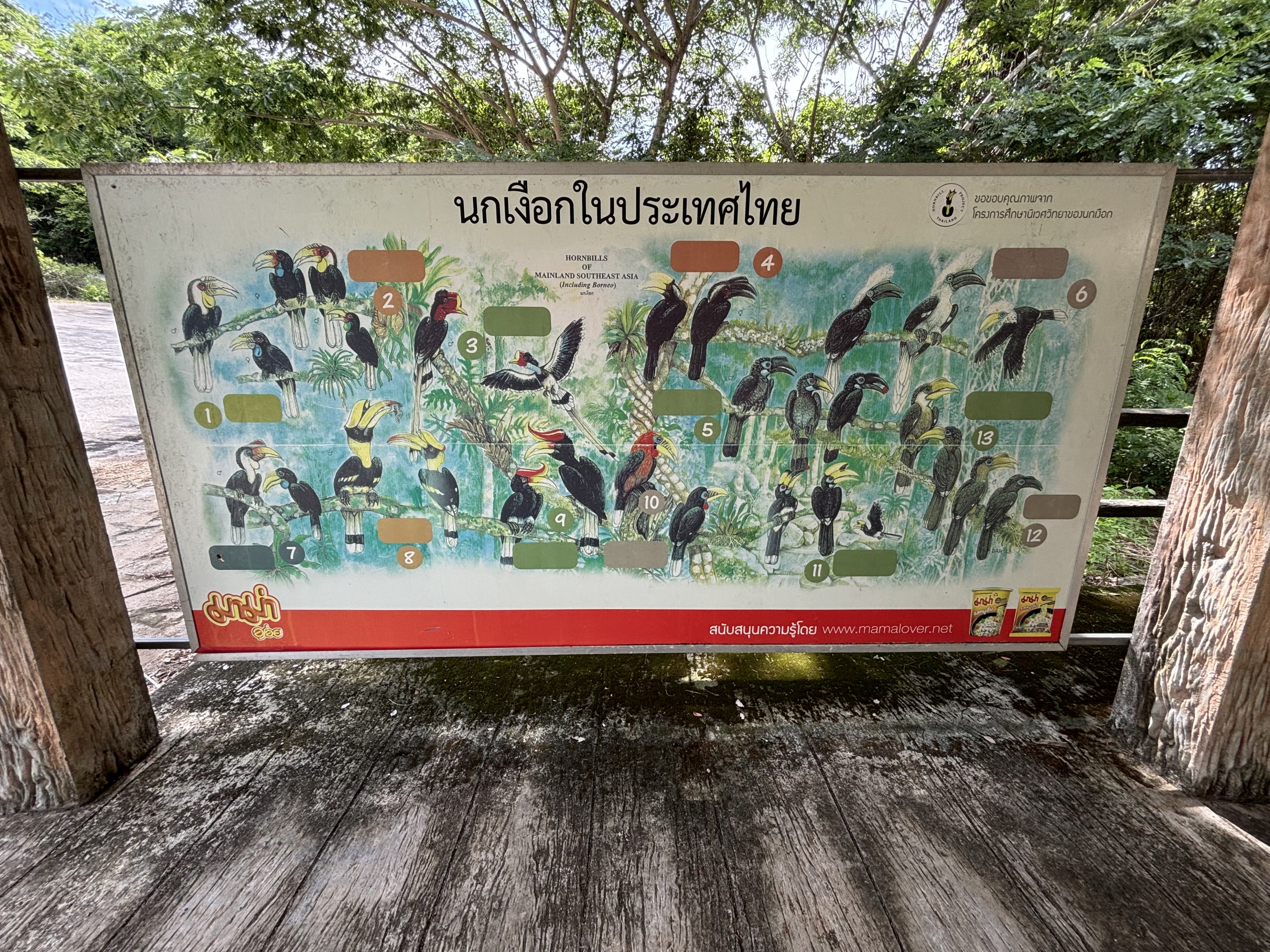 Hornbill Sign