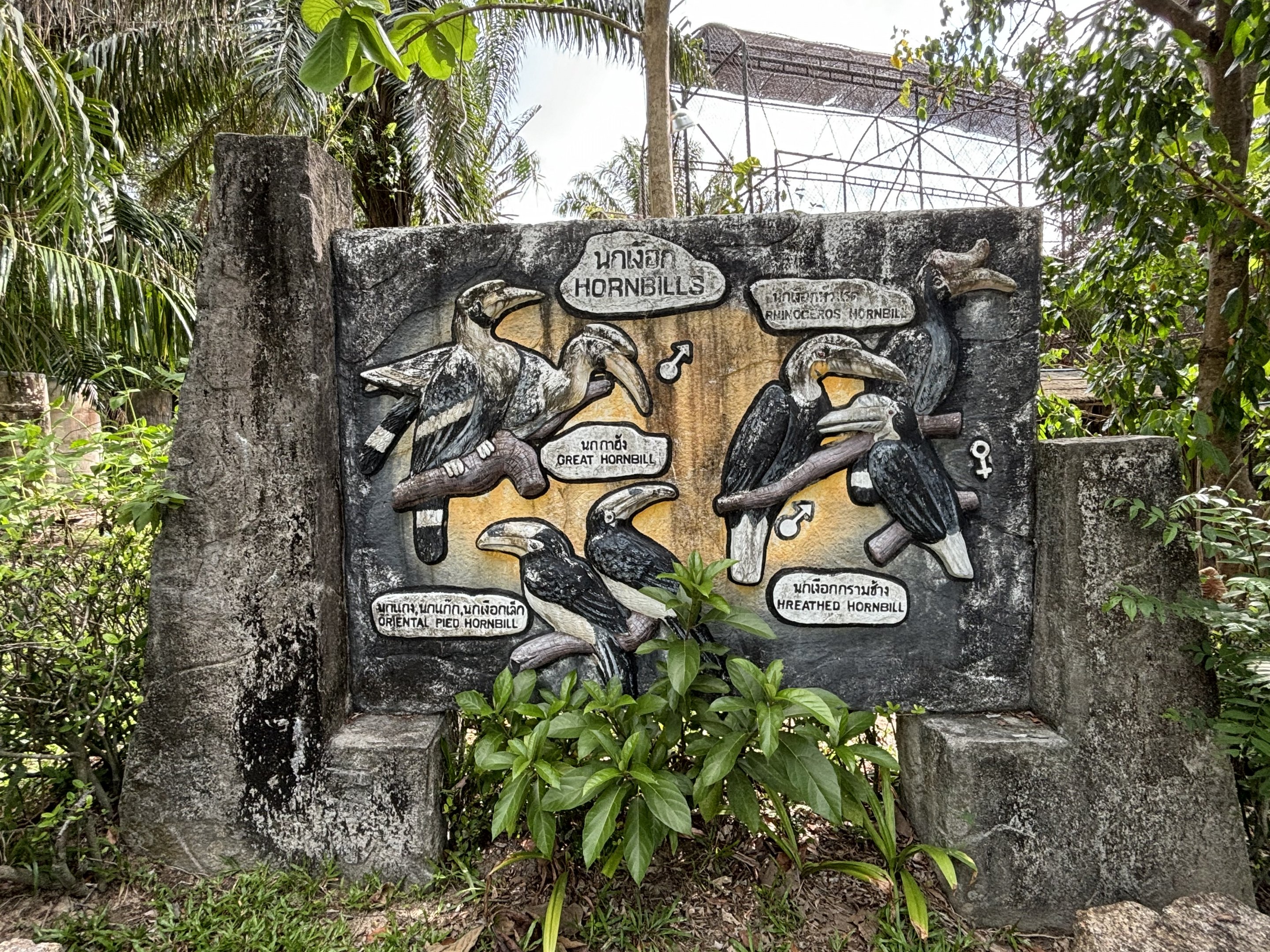 Hornbill Sign