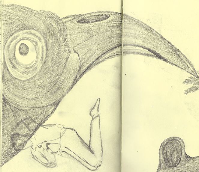 Hornbill Sketch
