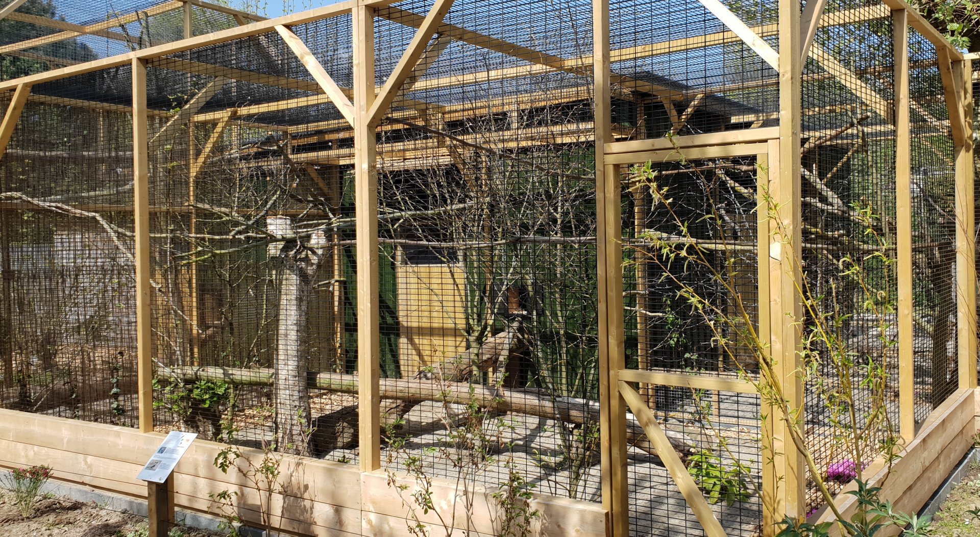 Hornbill - Touraco aviary