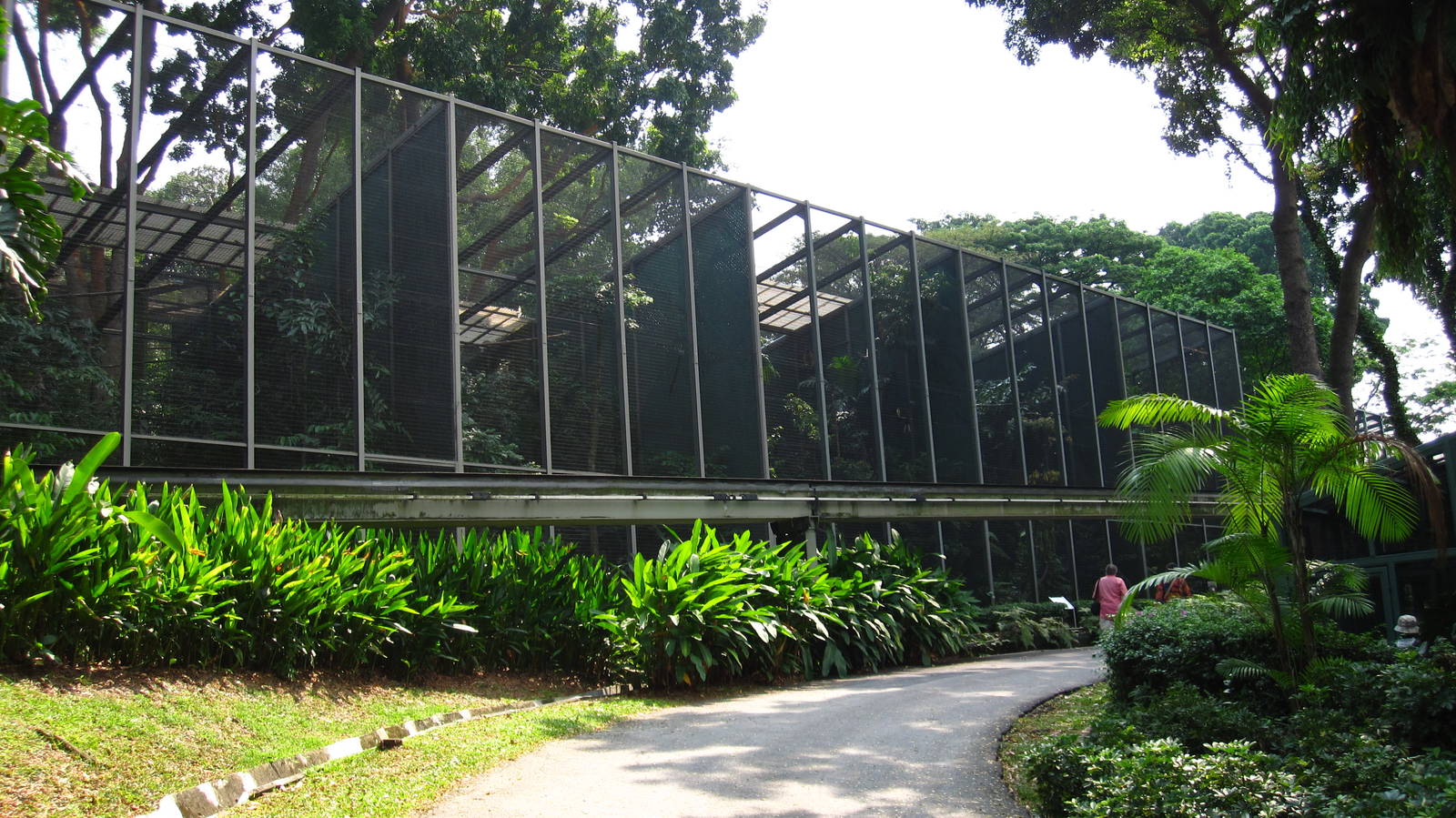 Hornbills and Toucans exhibit