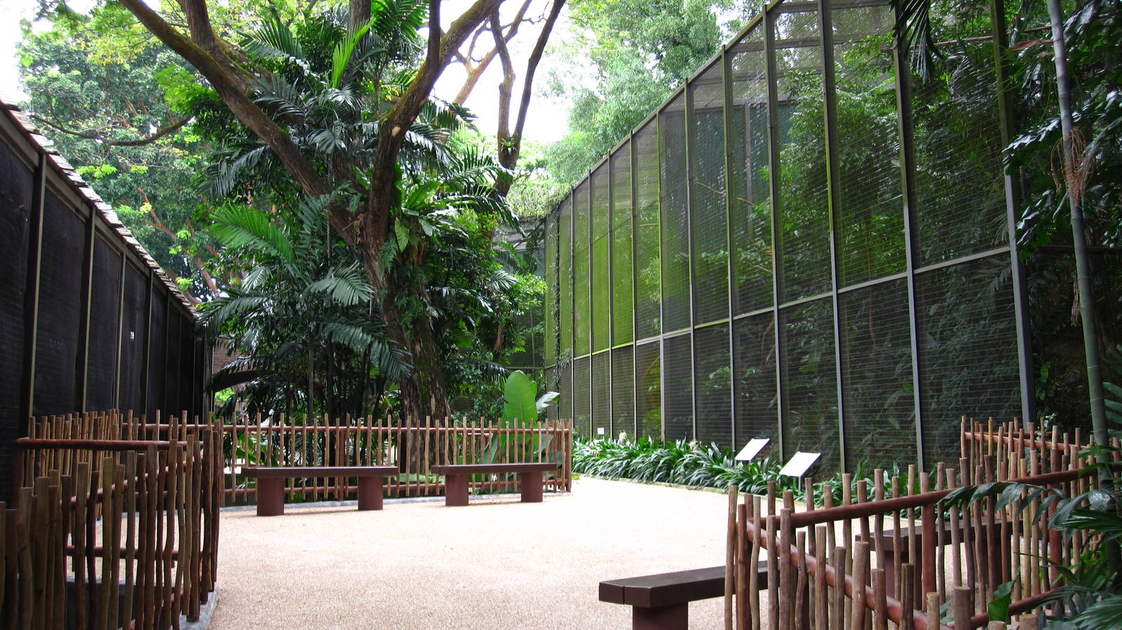 Hornbills and Toucans exhibit