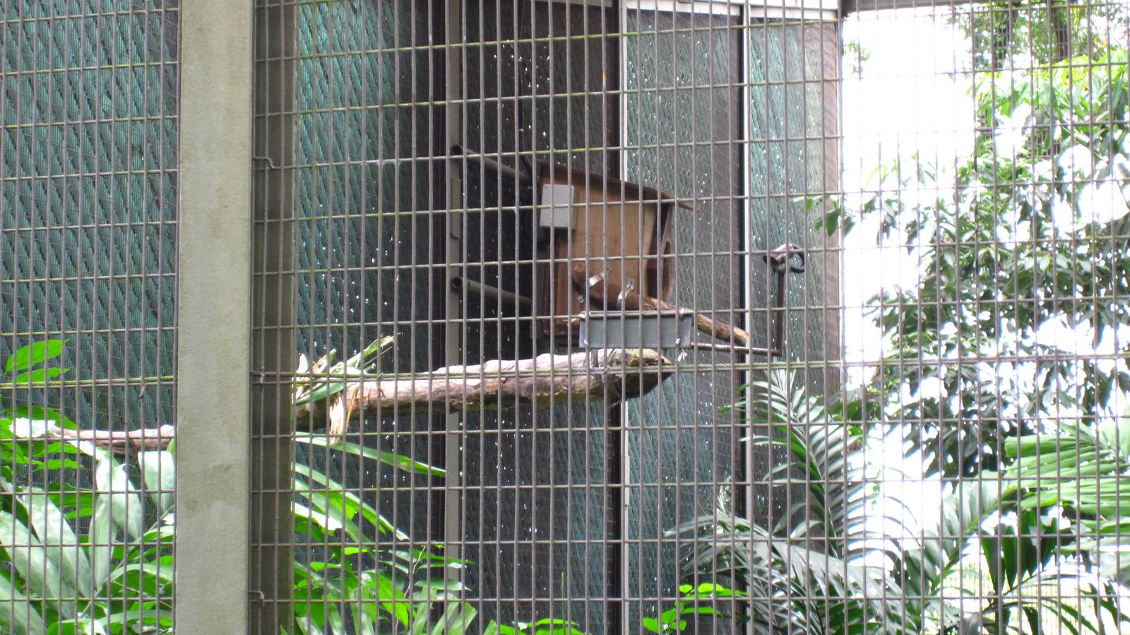 Hornbills and Toucans exhibit