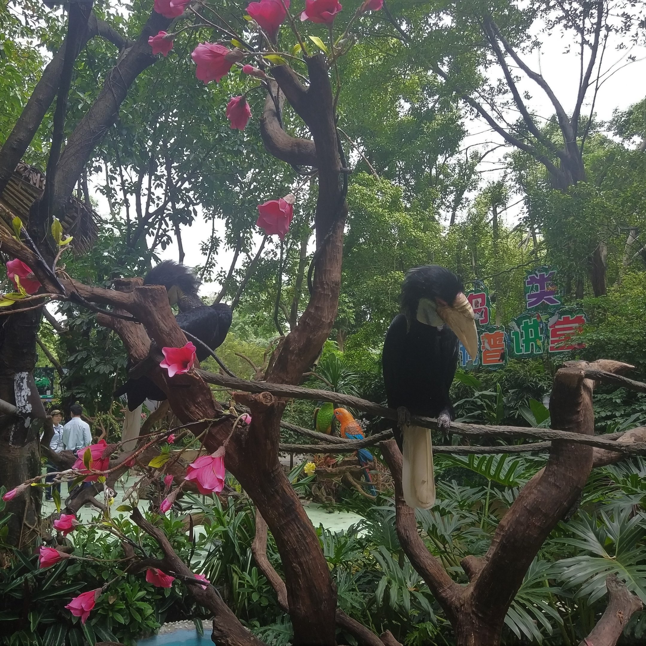 Hornbills on a Stick