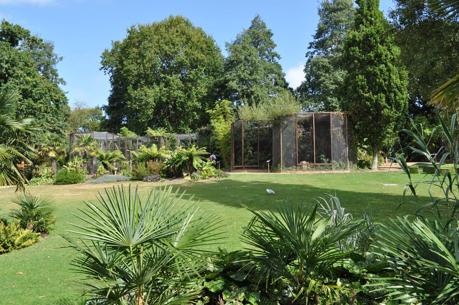 Hornbills, Turaco, Oriole, Pink Pigeon, Robin Chat etc. aviaries