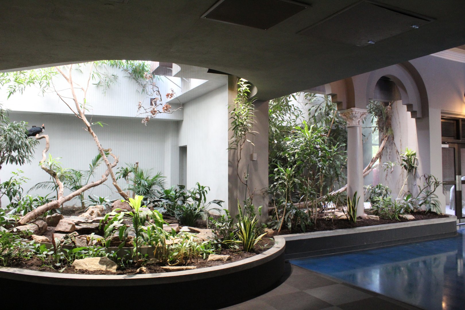 Horned Guan Exhibit - Bird House