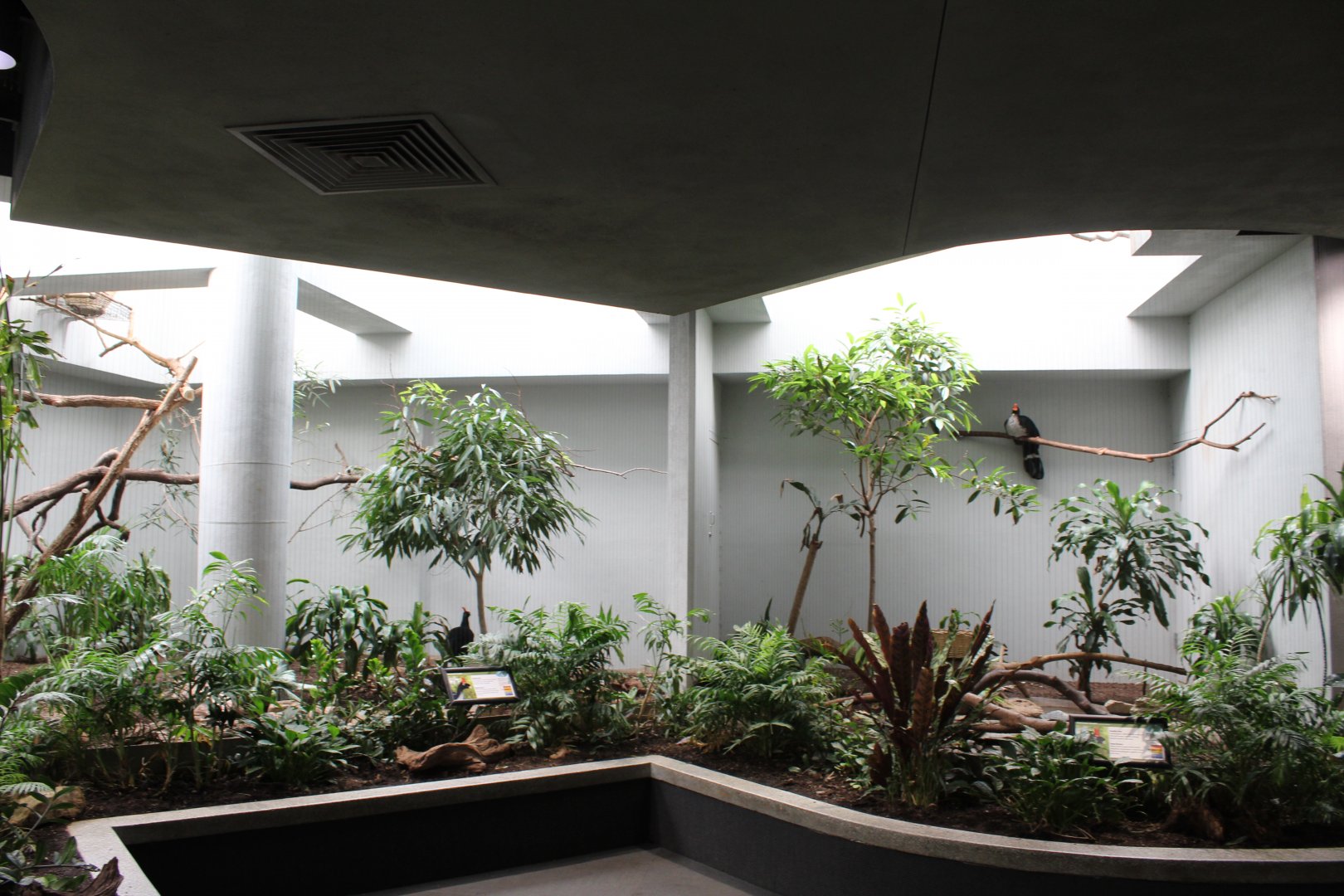 Horned Guan Exhibits - Bird House