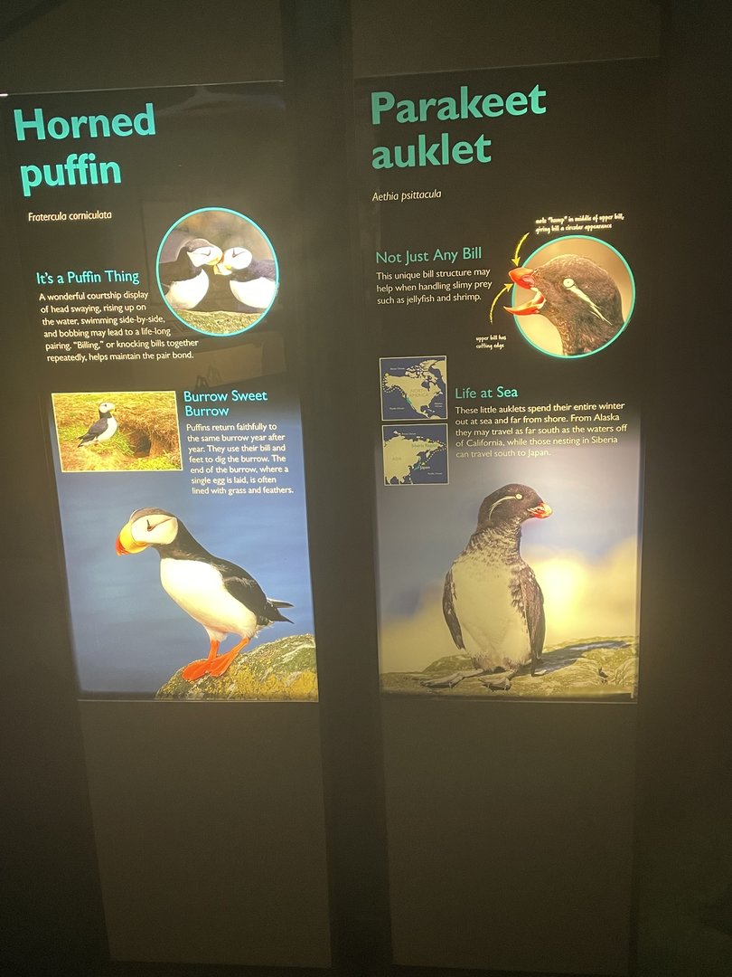 Horned Puffin and Parakeet Auklet Signage