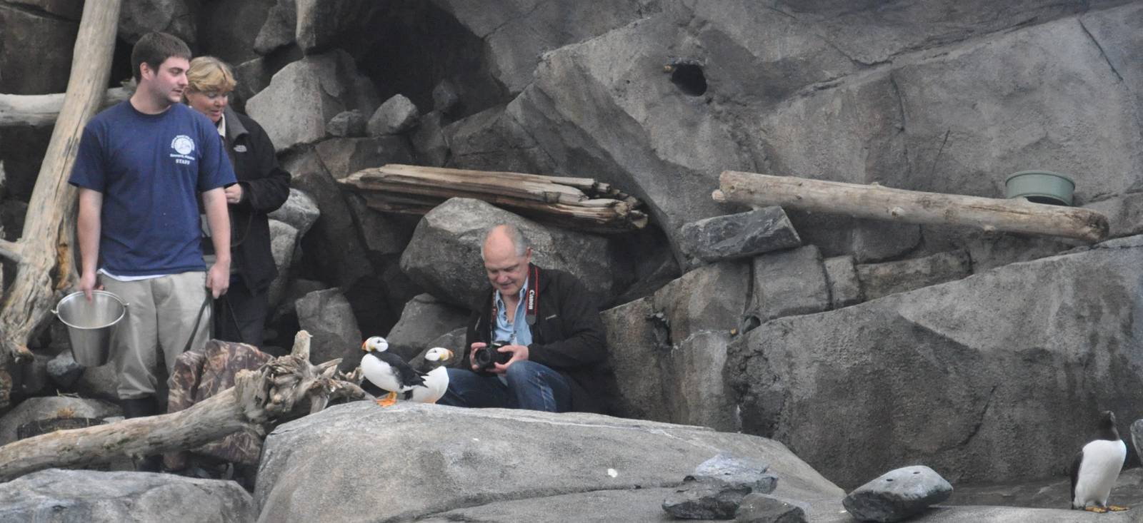 Horned Puffins and Center Staff