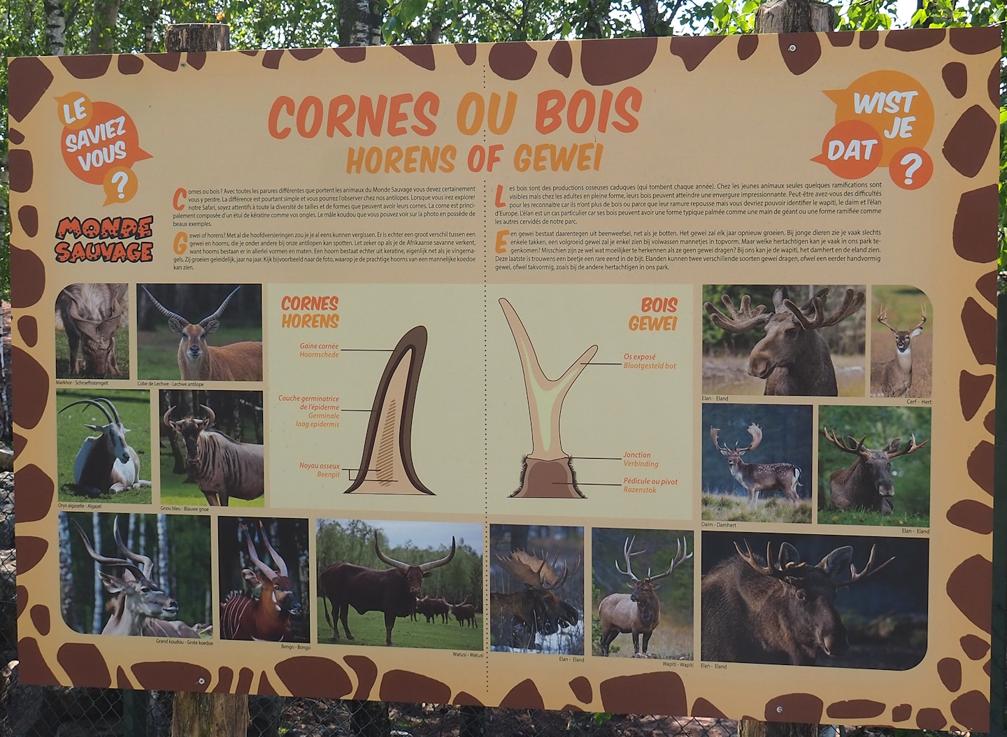 Horns and antlers signage, 2023-05-19