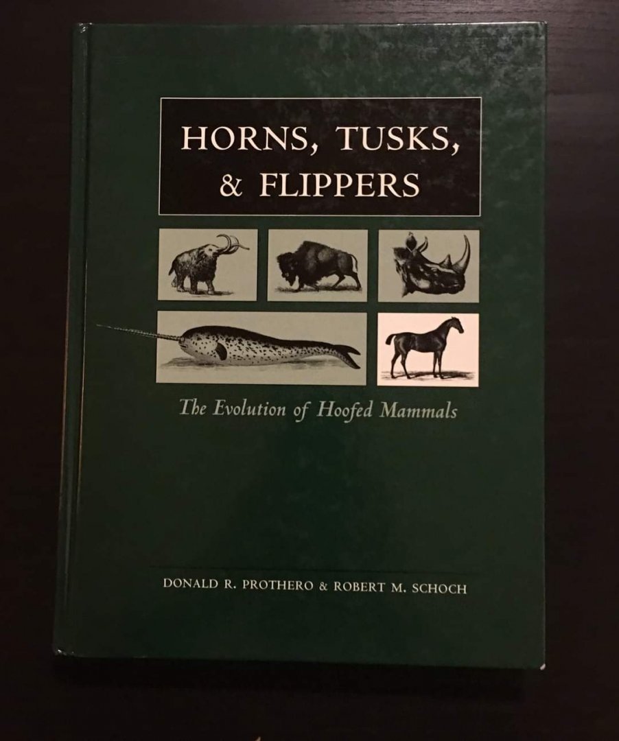 Horns, Tusks, & Flippers  The Evolution of Hoofed Mammals