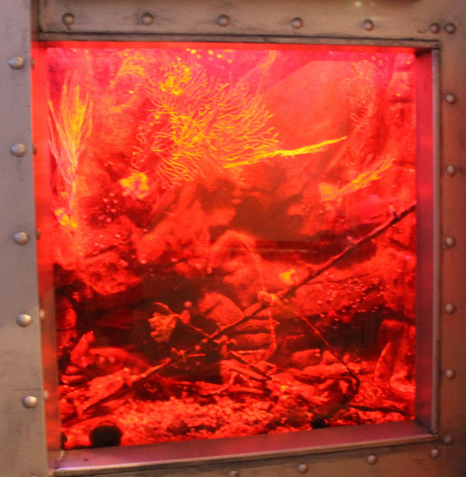 Horrible lighted Aquarium