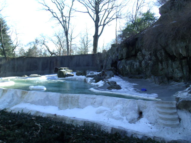 Horrible Polar Bear Exhibit