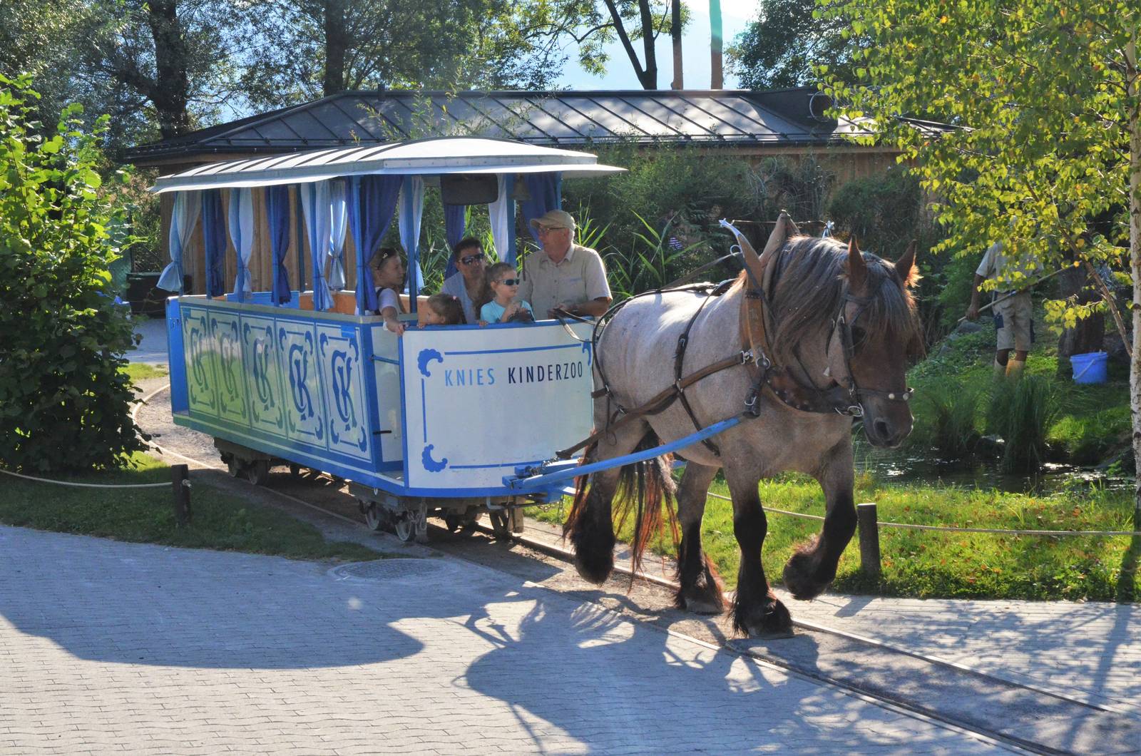 Horse-drawn Tram at Knie Kinderzoo, 11/09/16
