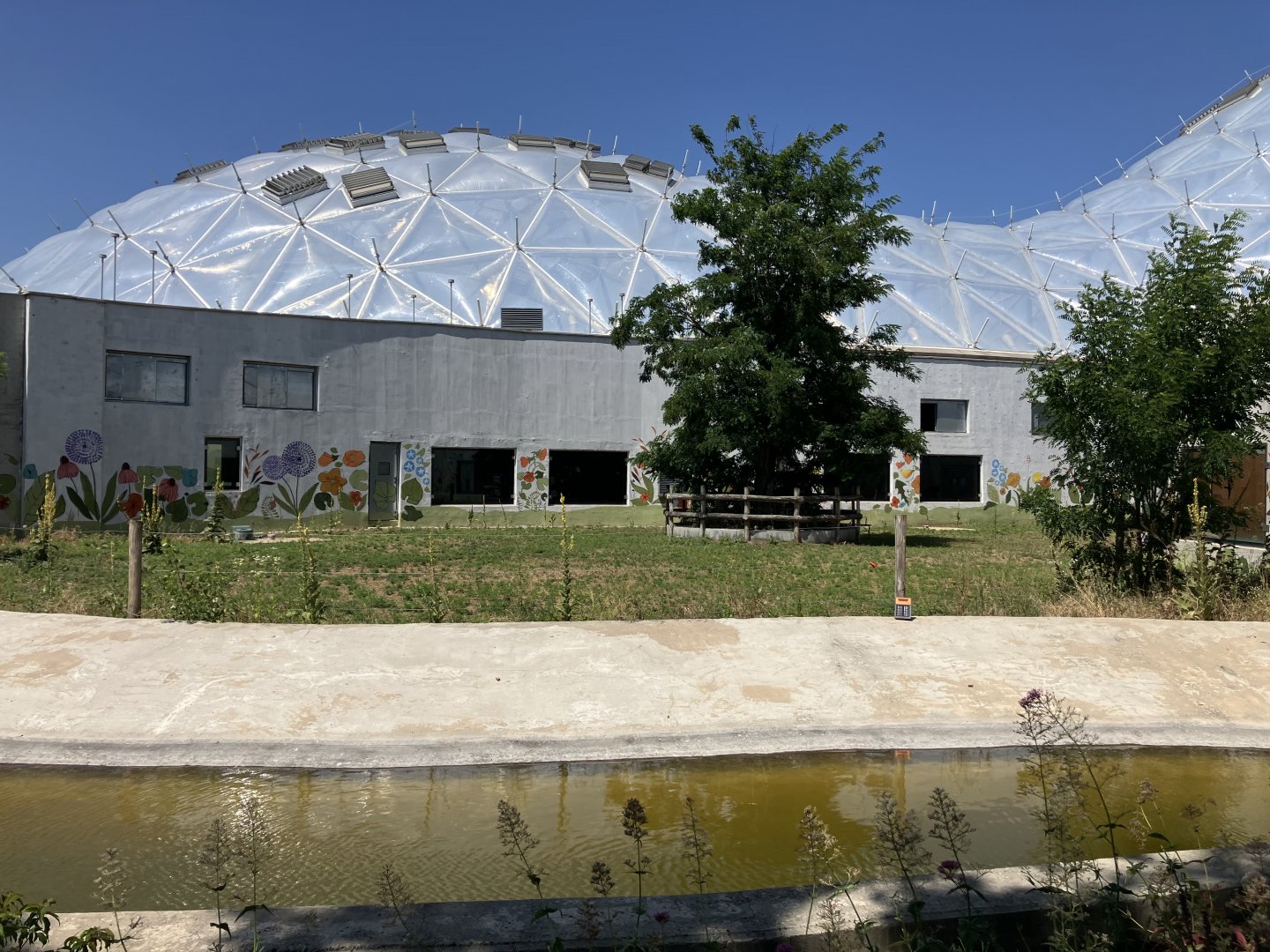 Horse exhibit-06/2025