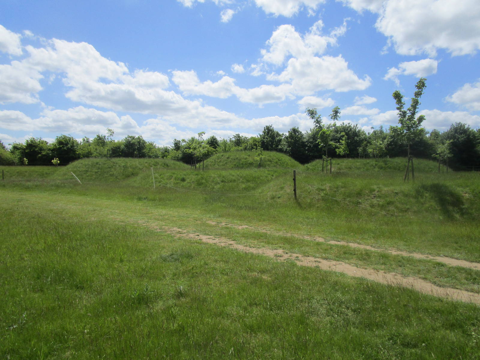 Horse Paddock - anyone know anything about these earthworks?