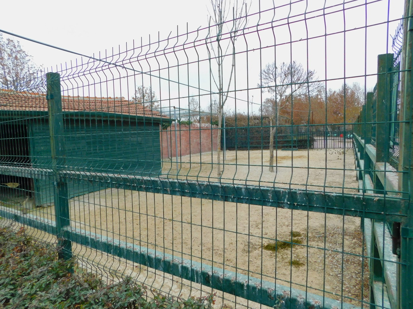Horse Pen at the Karatay Zoo