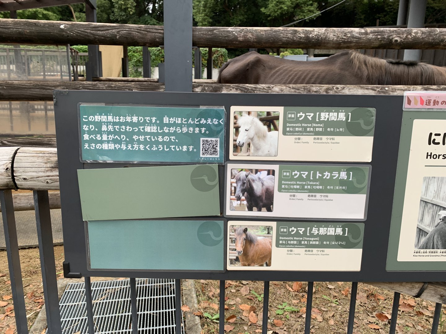 Horse Sign