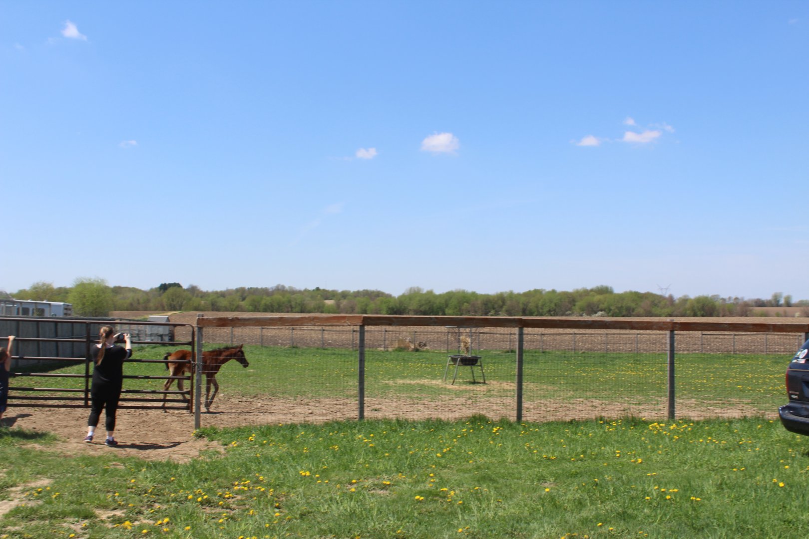 Horse Yard (Before the Entrance)