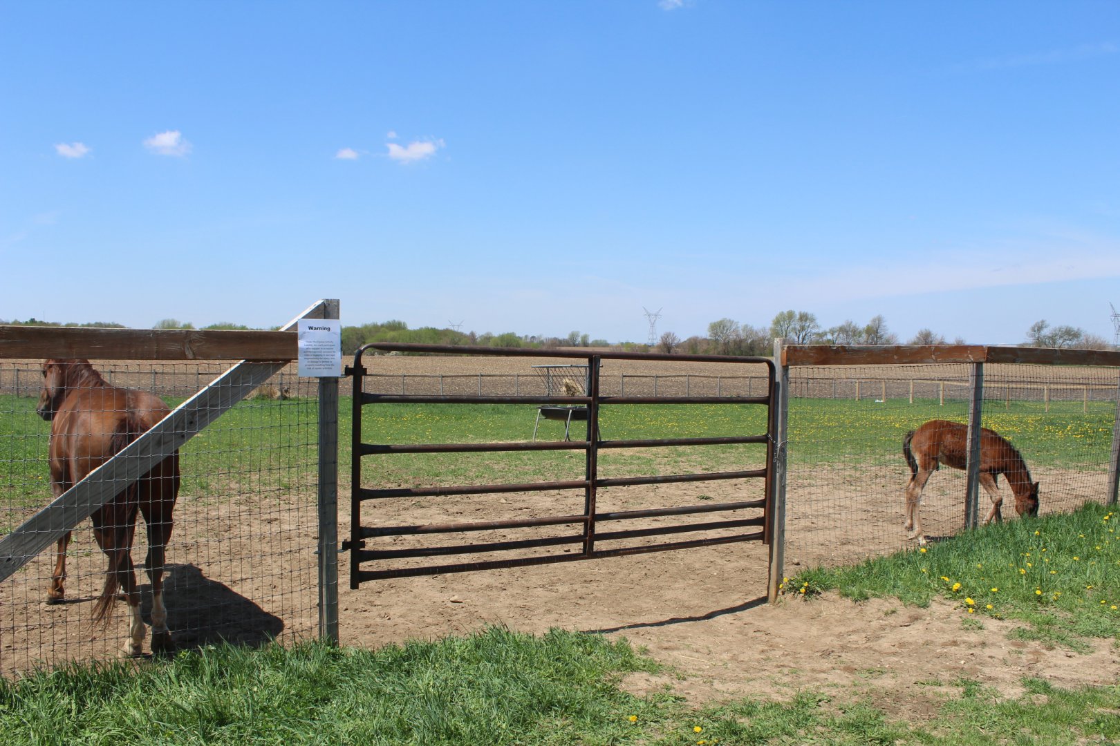 Horse Yard (Before the Entrance)