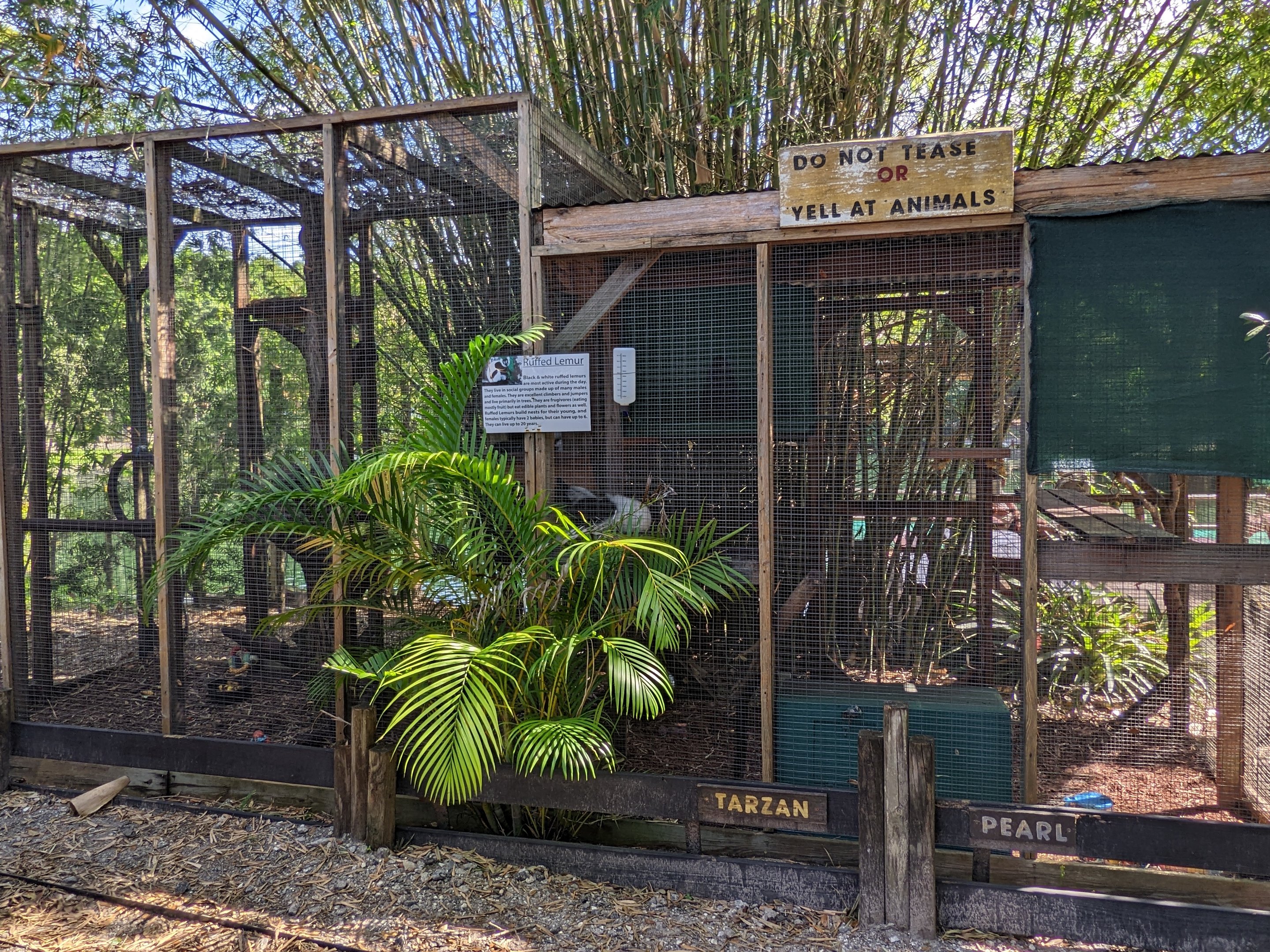 Horsepower for Kids - black and white ruffed lemur enclosures