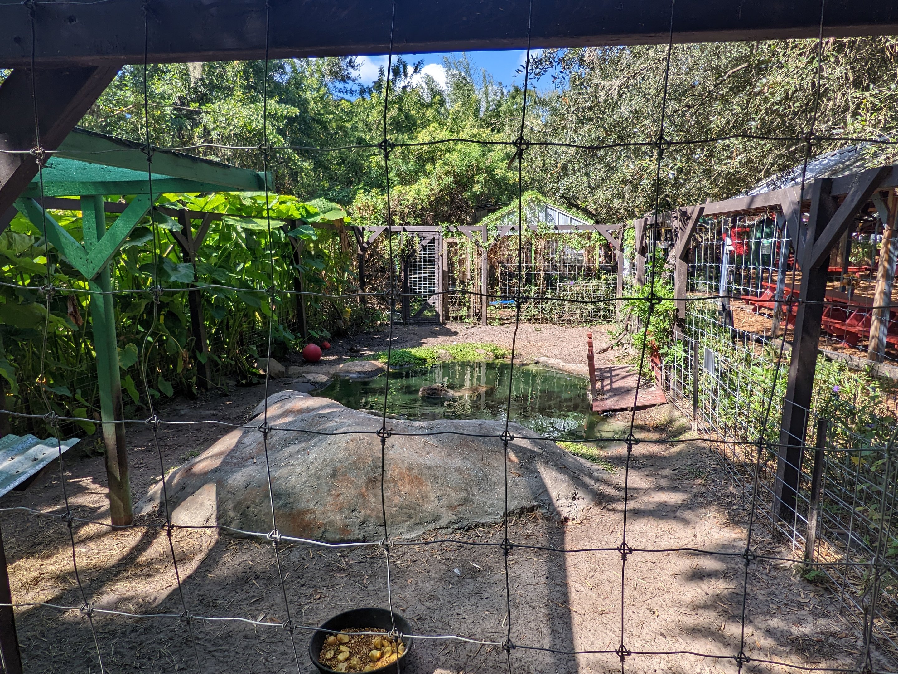 Horsepower for Kids  - Capybara