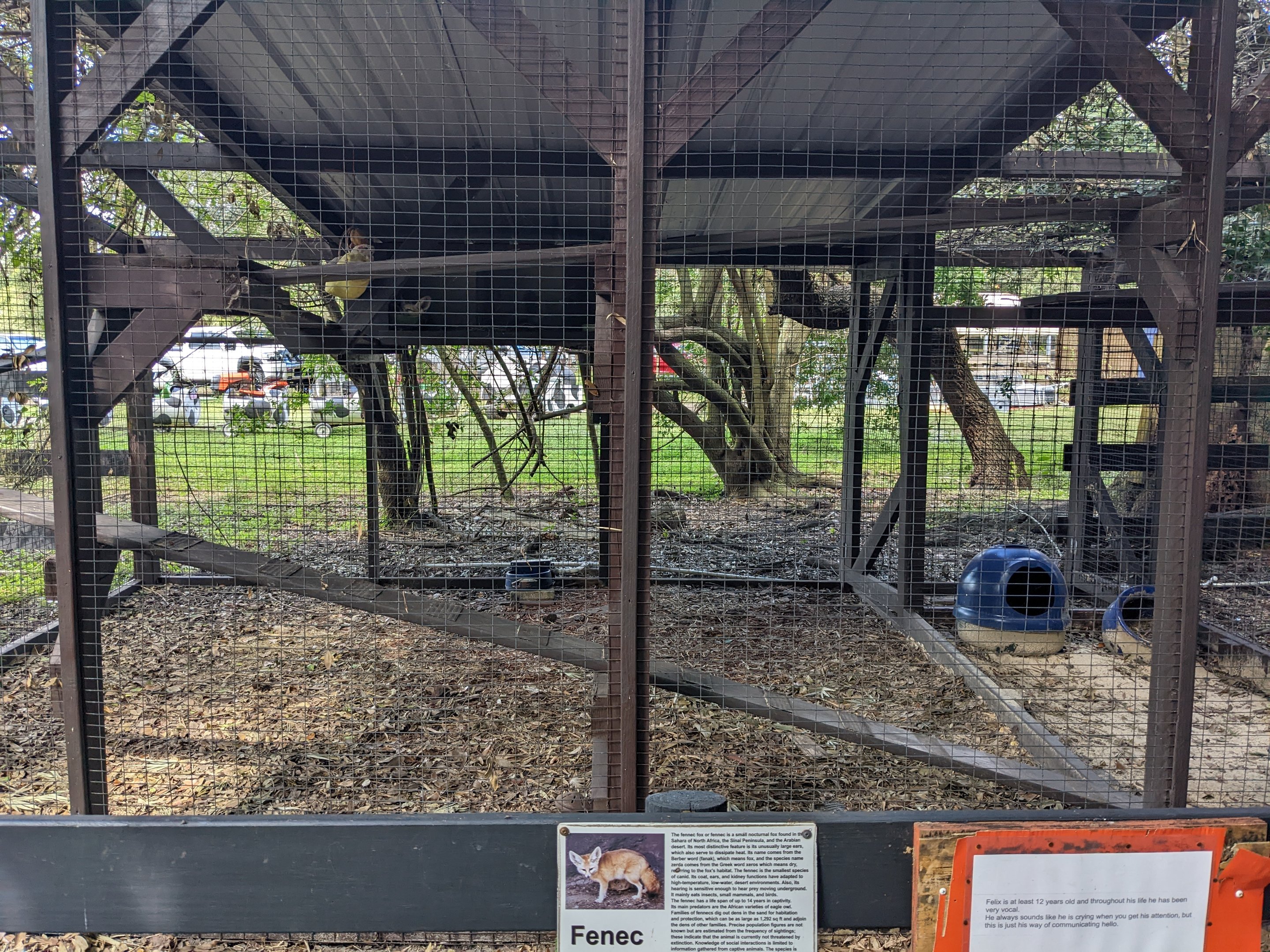 Horsepower for Kids  - Fenec fox enclosure