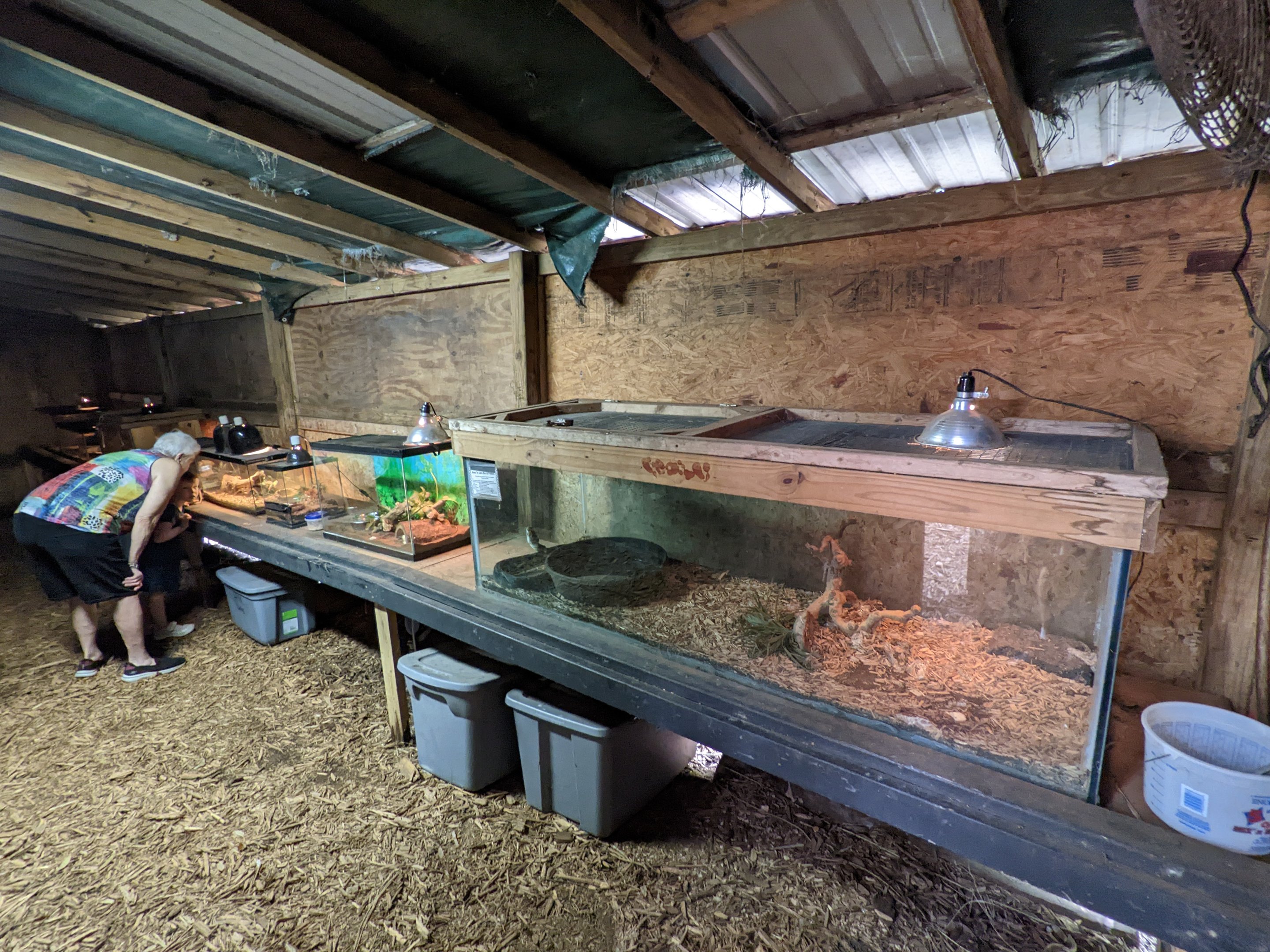 Horsepower for Kids - Herp house interior