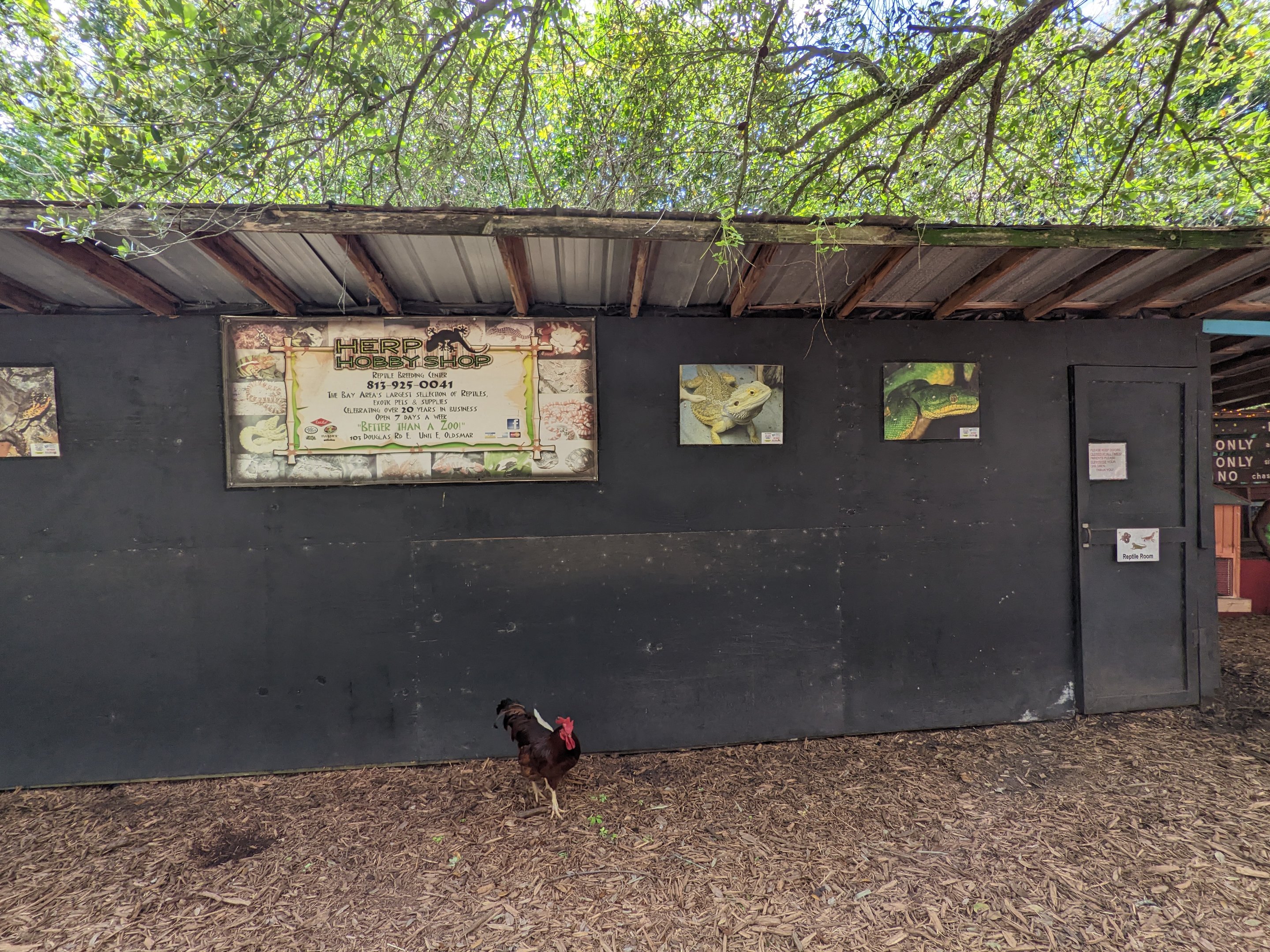 Horsepower for Kids - Herp House