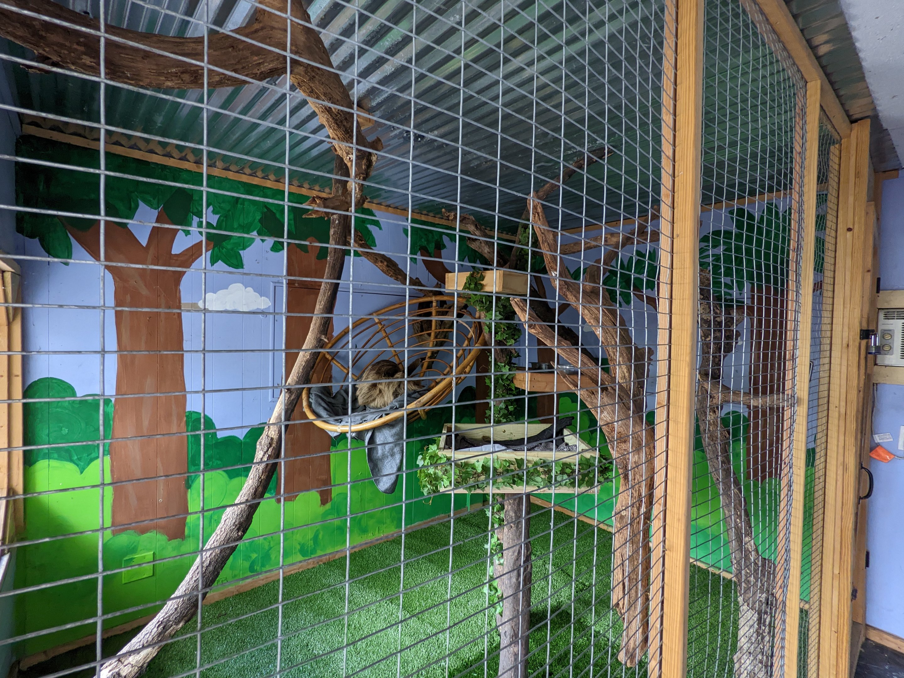 Horsepower for Kids - Sloths