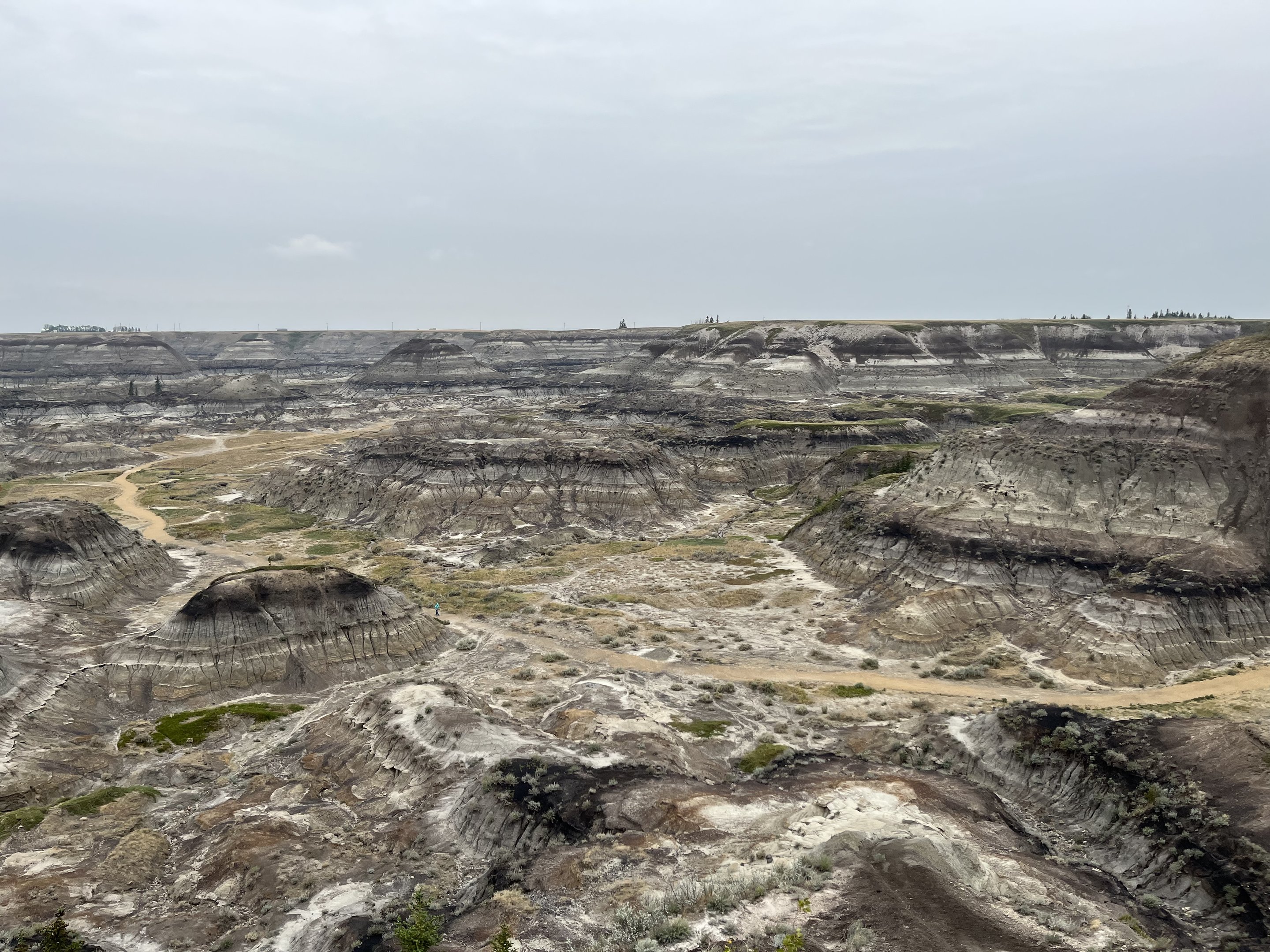 Horseshoe Canyon - near Drumheller