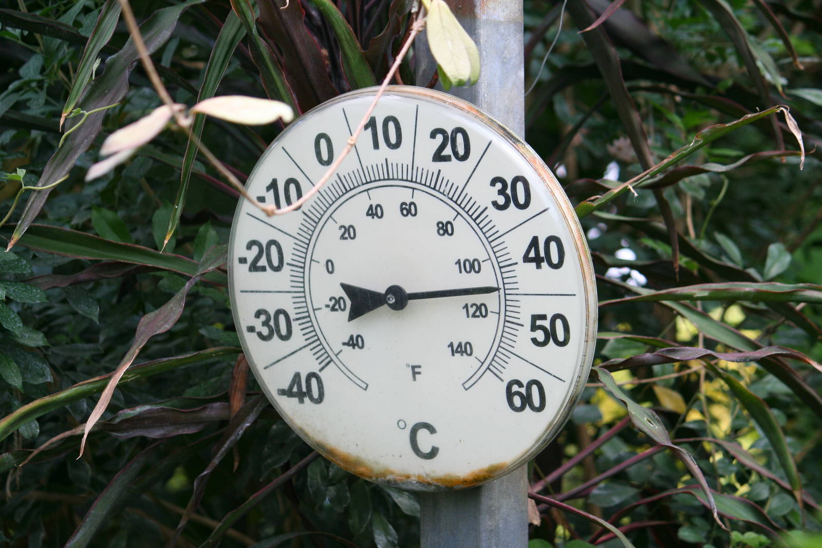 Hot days at Tropical World