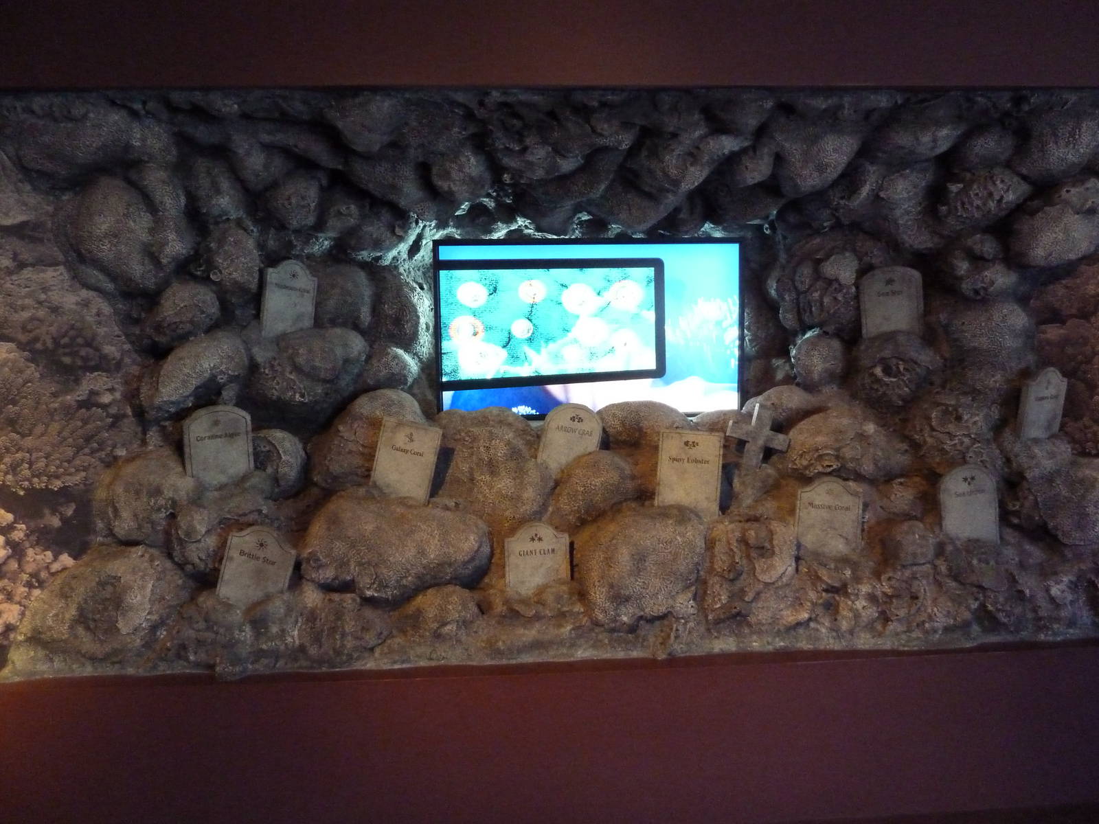 Hot Pink Flamingos - Aquatic Graveyard