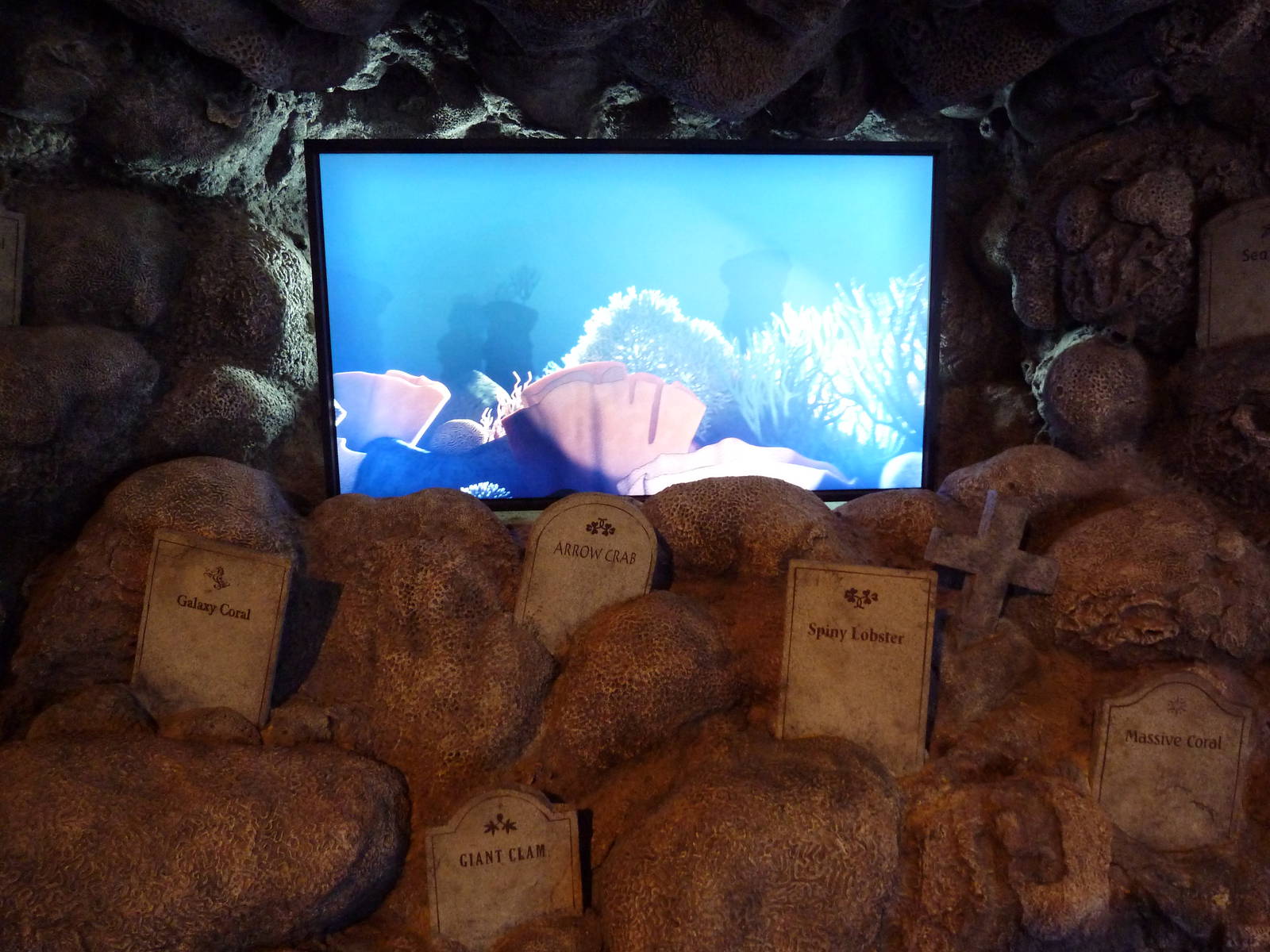 Hot Pink Flamingos - Aquatic Graveyard