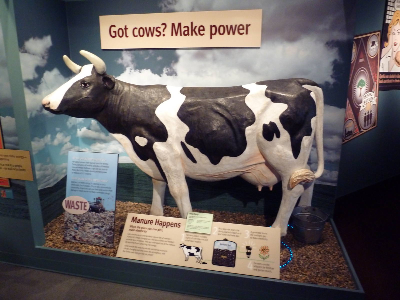 Hot Pink Flamingos - Cow Power!