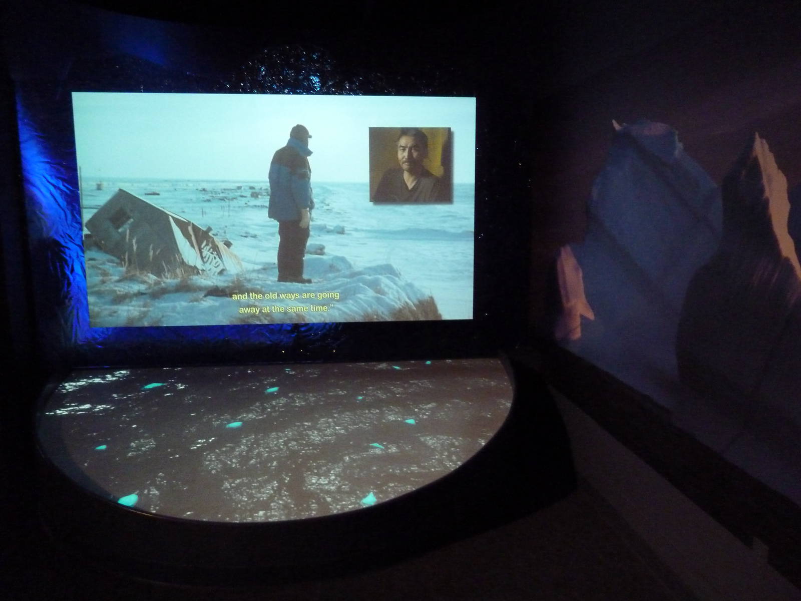 Hot Pink Flamingos - Video Screen