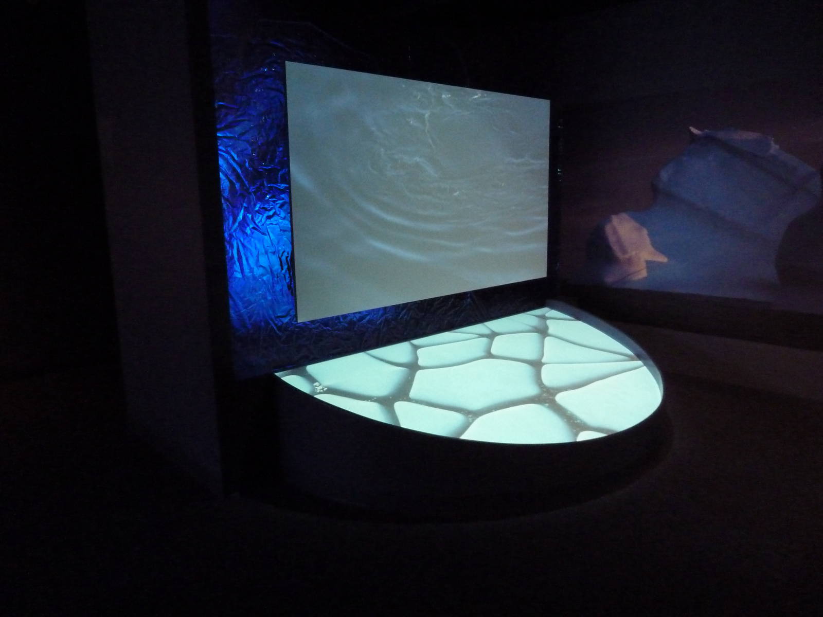 Hot Pink Flamingos - Video Screen