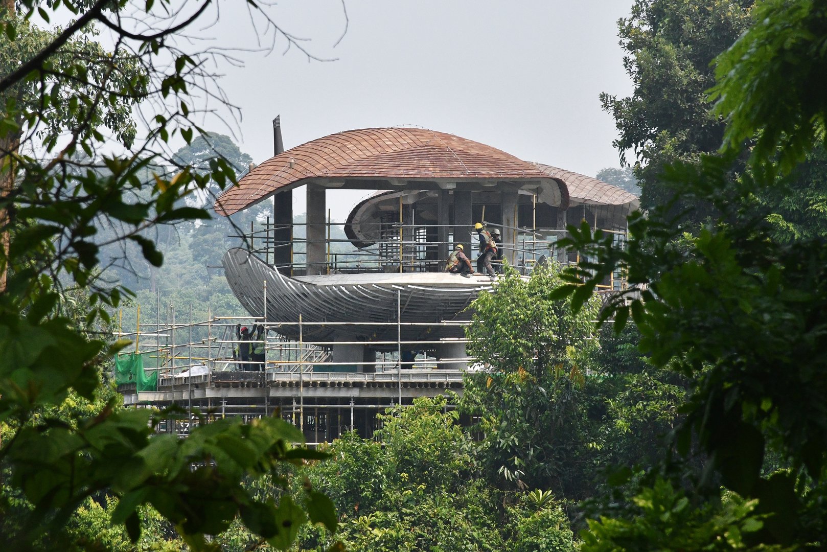 Hotel Treehouse (Under construction)