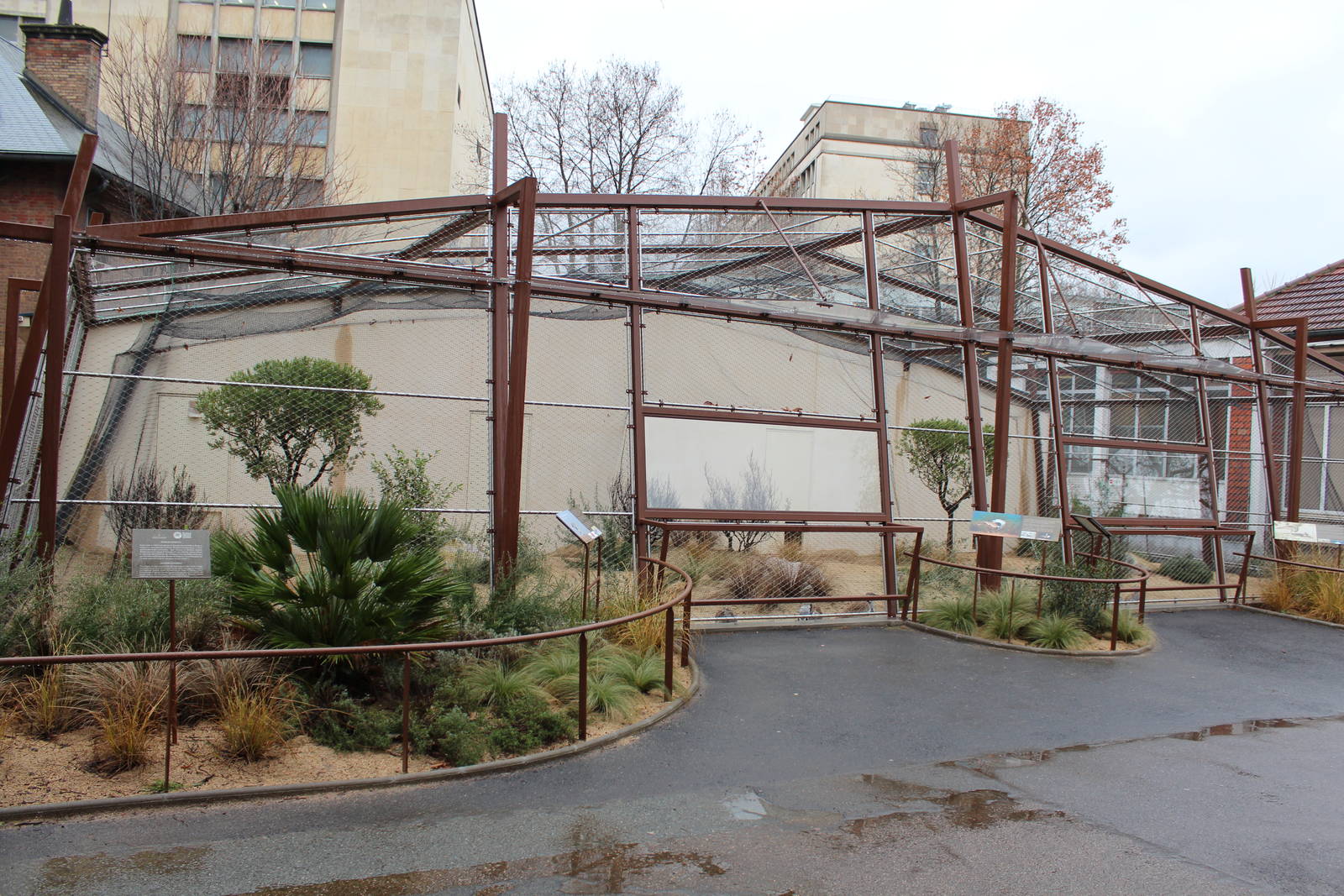 Houbara Bustard Aviary - Jan 2014