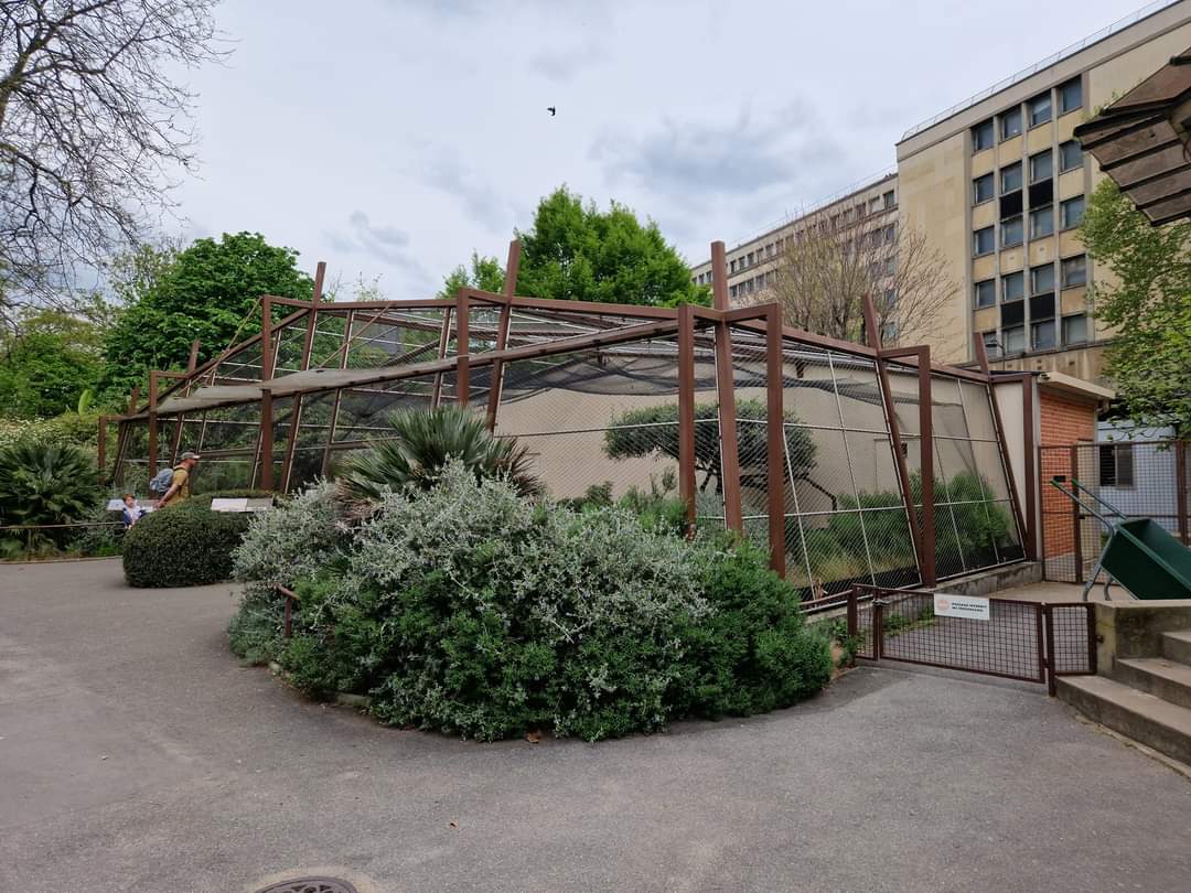 Houbara Bustard exhibit